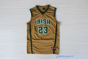 Maillot NCAA Pas Cher Irish LeBron James 23 Or