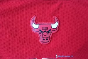 Maillot NBA Pas Cher Chicago Bulls Nate Robinson 2 Rouge