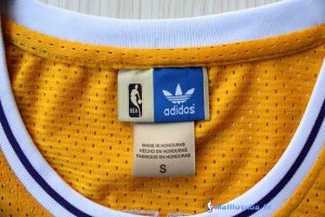 Maillot NBA Pas Cher Los Angeles Lakers Wesley Johnson 32 Jaune