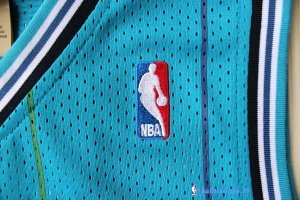 Maillot NBA Pas Cher Charlotte Hornets Larry Demetric Johnson 2 Vert