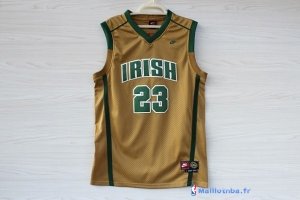 Maillot NCAA Pas Cher Irish LeBron James 23 Or