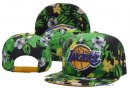 Bonnet NBA Los Angeles Lakers 2016 Vert