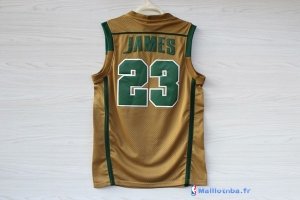 Maillot NCAA Pas Cher Irish LeBron James 23 Or