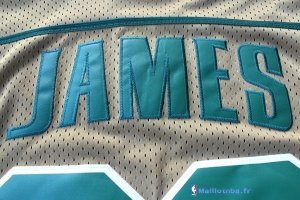 Maillot NCAA Pas Cher Irish LeBron James 23 Or