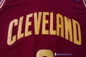 Maillot NBA Pas Cher Cleveland Cavaliers Kevin Love 0 Rouge