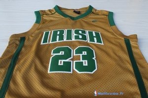Maillot NCAA Pas Cher Irish LeBron James 23 Or
