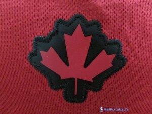 Maillot NBA Pas Cher Toronto Raptors Terrence Ross 31 Rouge