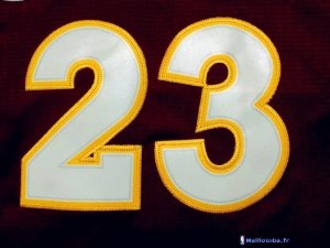 Maillot NBA Pas Cher Cleveland Cavaliers 2015/2016 LeBron James 23 Rouge