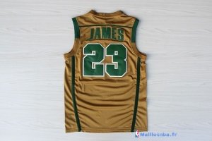 Maillot NCAA Pas Cher Irish LeBron James 23 Or