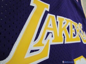 Maillot NBA Pas Cher Los Angeles Lakers Kareem Abdul Jabbar 33 Pourpre