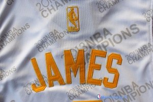 Maillot NBA Pas Cher Miami Heat LeBron James 6 Blanc Or