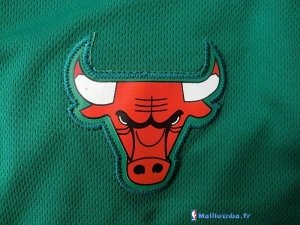 Maillot NBA Pas Cher Chicago Bulls Derrick Rose 1 Vert