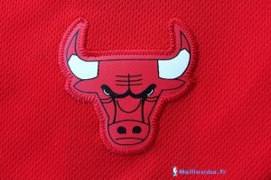 Maillot NBA Pas Cher Chicago Bulls Pau Gasol 16 Rouge