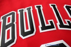 Maillot NBA Pas Cher Chicago Bulls Nate Robinson 2 Rouge