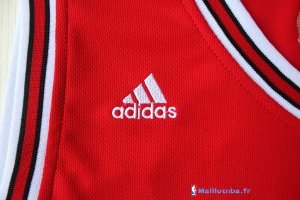 Maillot NBA Pas Cher Chicago Bulls Nate Robinson 2 Rouge