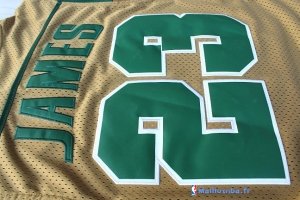 Maillot NCAA Pas Cher Irish LeBron James 23 Or